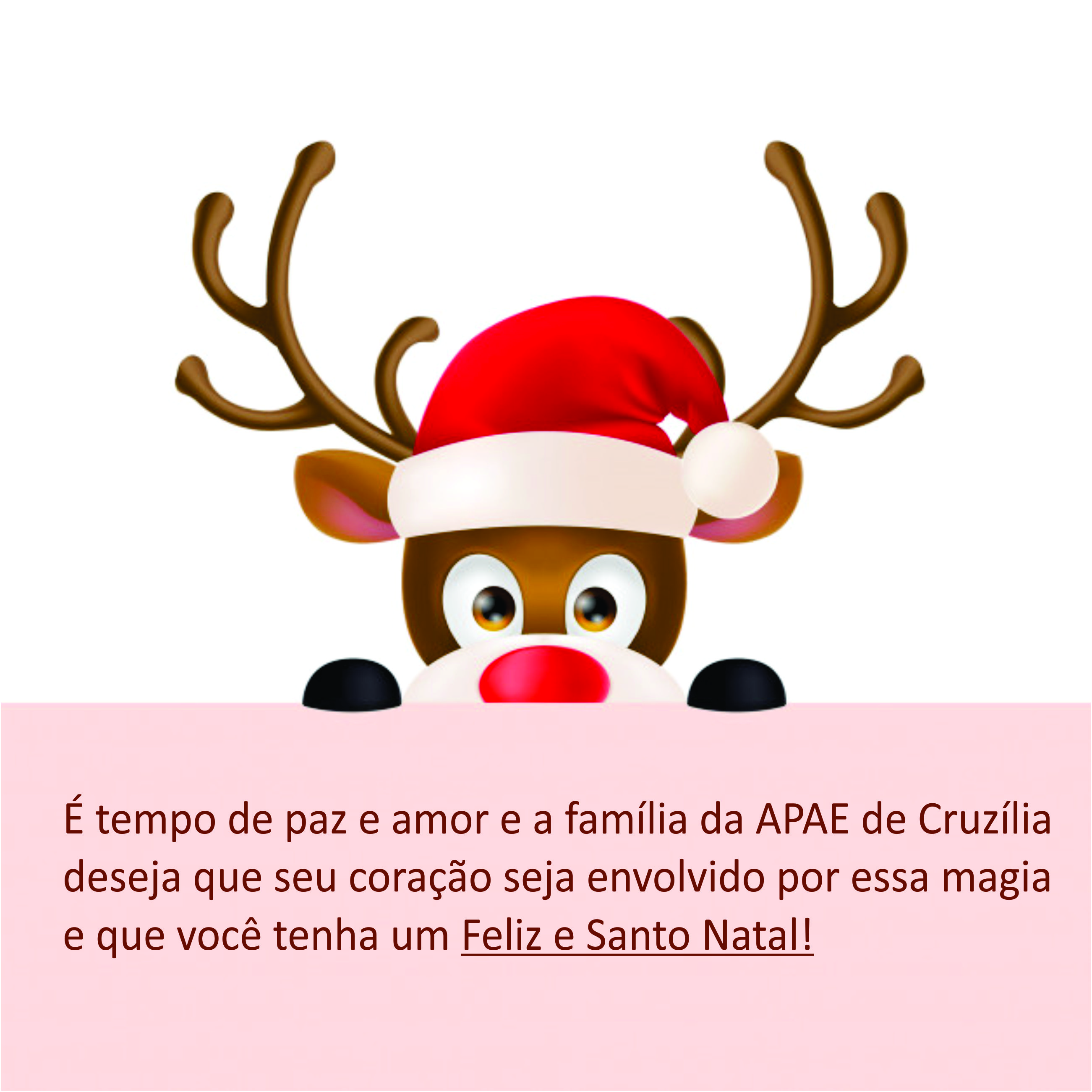 APAE NATAL