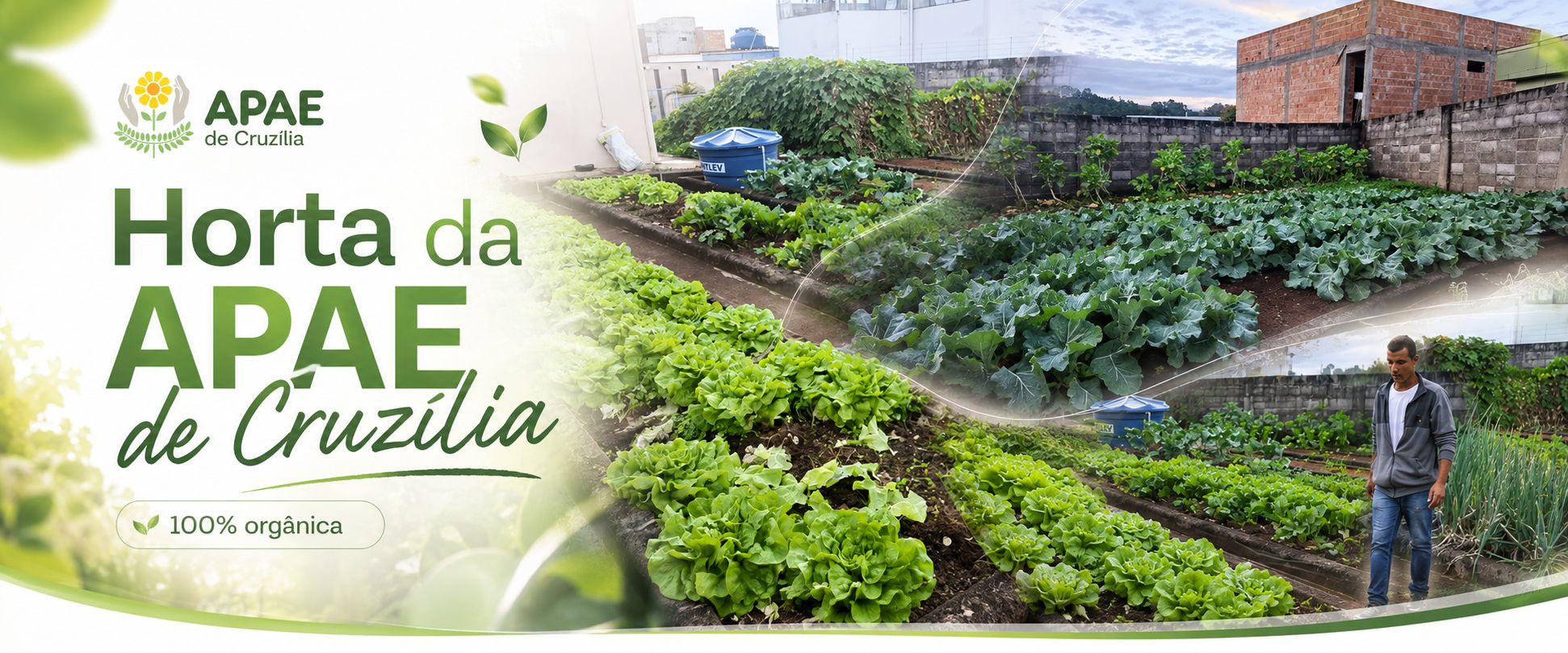 horta apae cruzilia q80