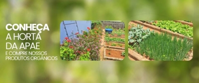 Horta da APAE oferta alimentos orgânicos